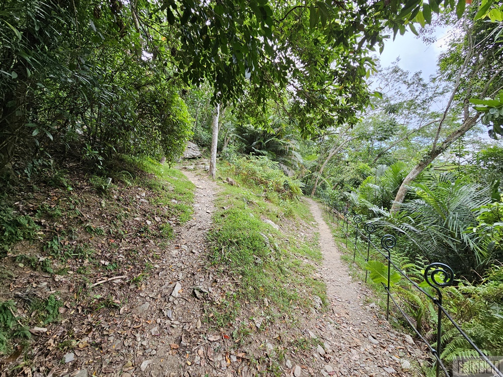 台東景點 知本國家森林遊樂區 熱帶森林浴、登山小旅行 台東旅遊推薦