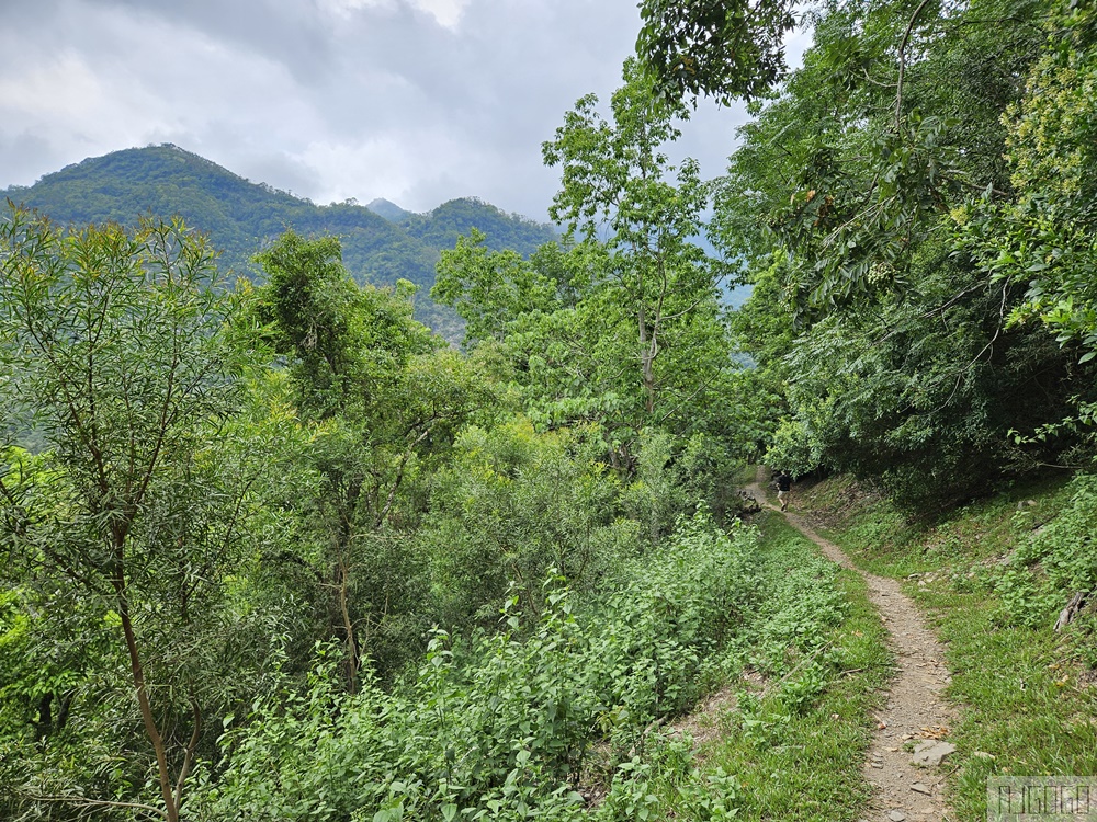 台東景點 知本國家森林遊樂區 熱帶森林浴、登山小旅行 台東旅遊推薦