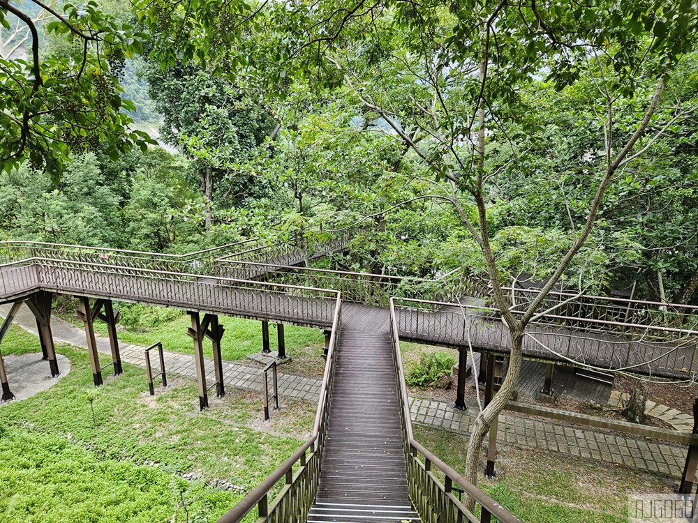 台東景點 知本國家森林遊樂區 熱帶森林浴、登山小旅行 台東旅遊推薦