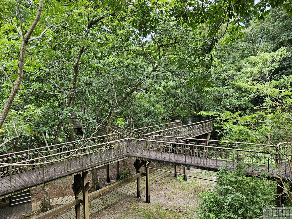台東景點 知本國家森林遊樂區 熱帶森林浴、登山小旅行 台東旅遊推薦