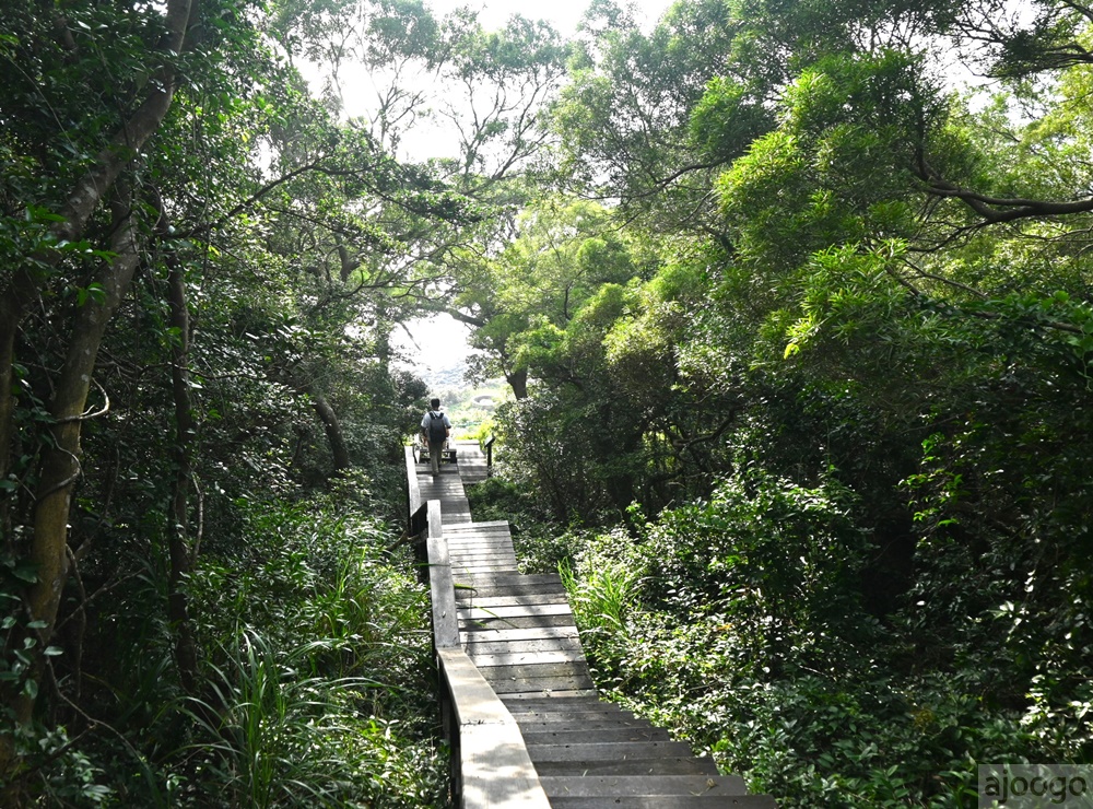 馬祖景點 西莒方塊海 世界唯二海岸美景 在夕陽下小島野餐 馬祖旅遊推薦
