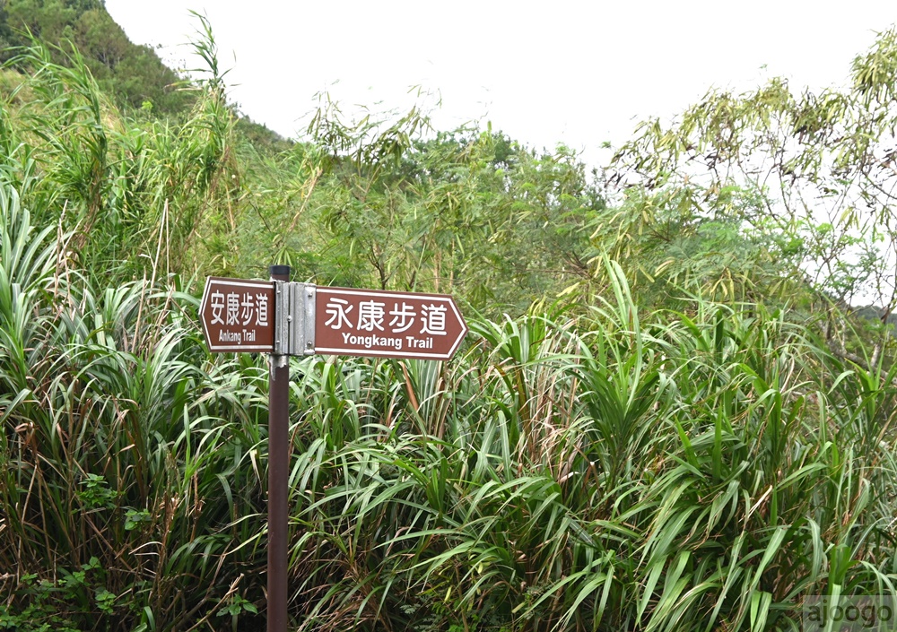 馬祖景點 北竿芹壁永康、安康步道 芹壁聚落山林步道 馬祖旅遊推薦 馬祖景點 北竿芹壁永康、安康步道 芹壁聚落山林步道 馬祖旅遊推薦