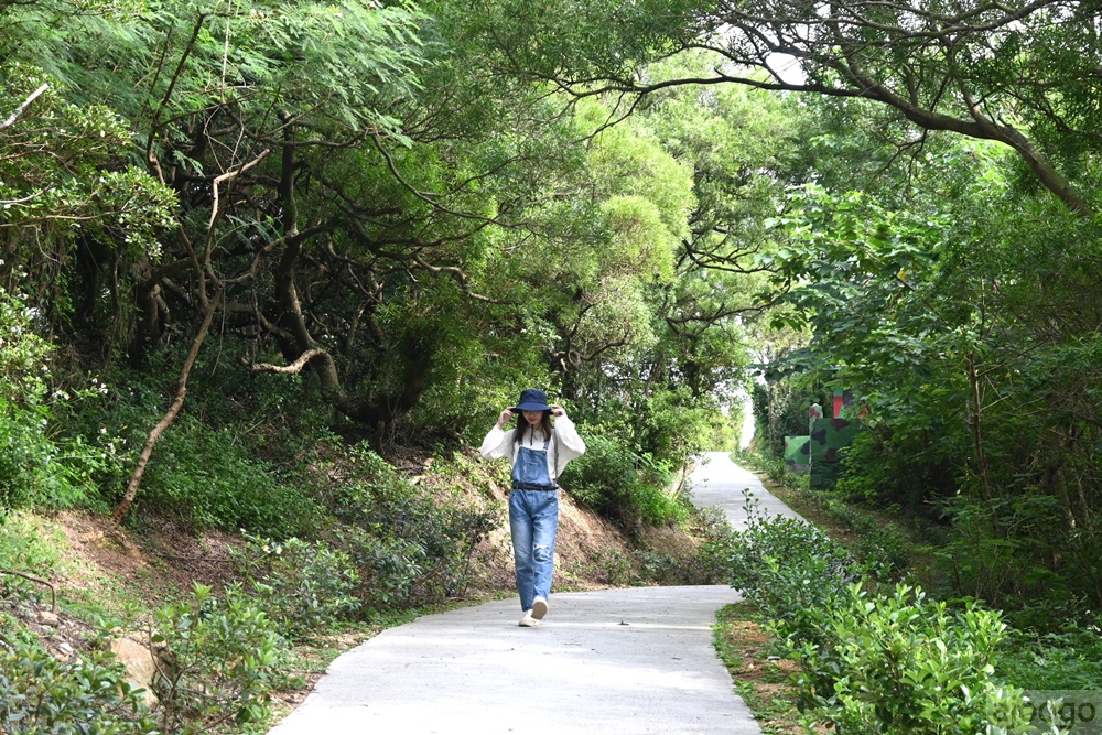 2026馬祖景點 大漢據點、北海坑道遊船 夏天夜賞藍眼淚 馬祖旅遊推薦