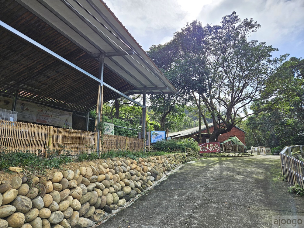 桃園景點 姐夫農場 小雞出租 桃園親子農場推薦 走進在地農家