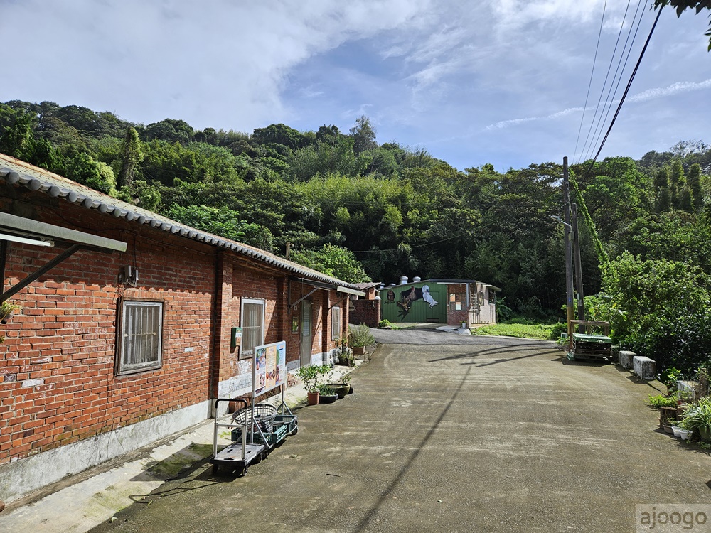 桃園景點 姐夫農場 小雞出租 桃園親子農場推薦 走進在地農家 桃園景點 姐夫農場 小雞出租 桃園親子農場推薦 走進在地農家