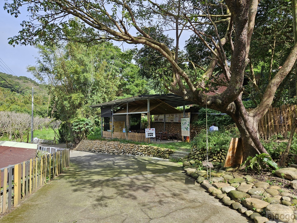桃園景點 姐夫農場 小雞出租 桃園親子農場推薦 走進在地農家