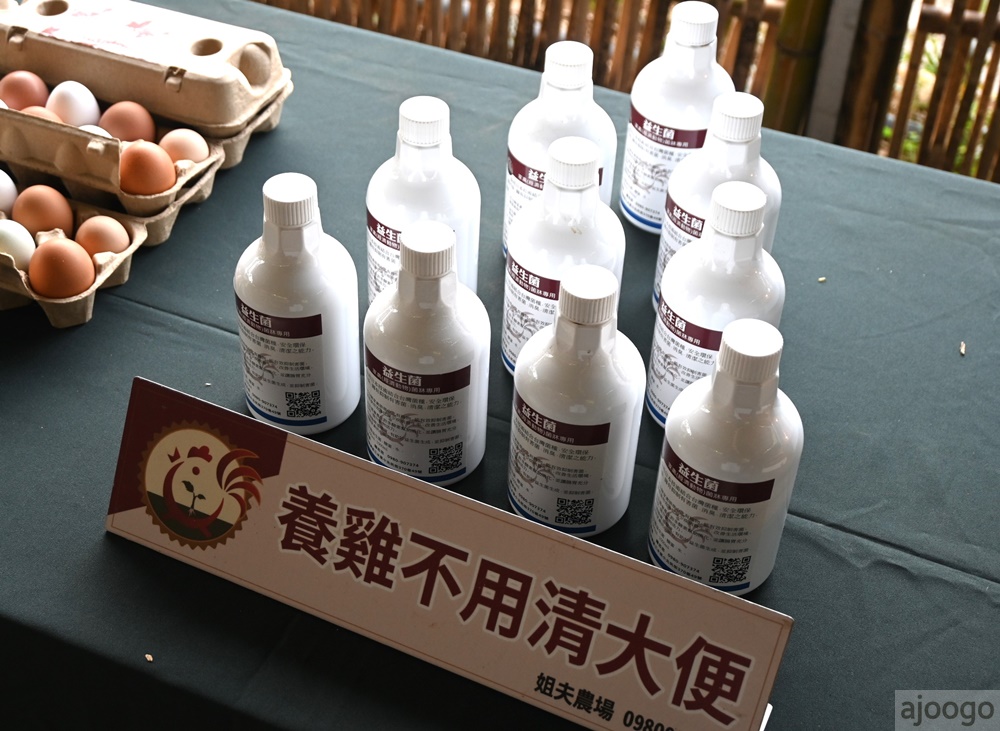 桃園景點 姐夫農場 小雞出租 桃園親子農場推薦 走進在地農家