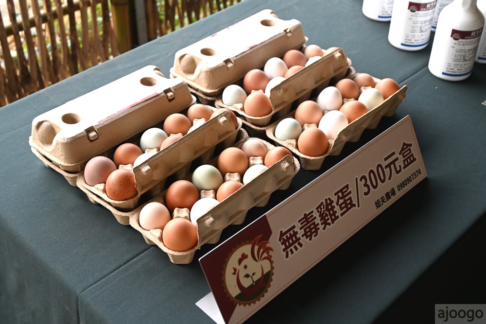 桃園景點 姐夫農場 小雞出租 桃園親子農場推薦 走進在地農家 桃園景點 姐夫農場 小雞出租 桃園親子農場推薦 走進在地農家