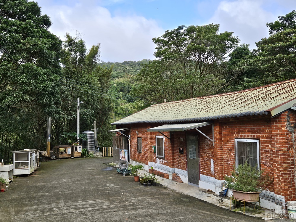 桃園景點 姐夫農場 小雞出租 桃園親子農場推薦 走進在地農家 桃園景點 姐夫農場 小雞出租 桃園親子農場推薦 走進在地農家