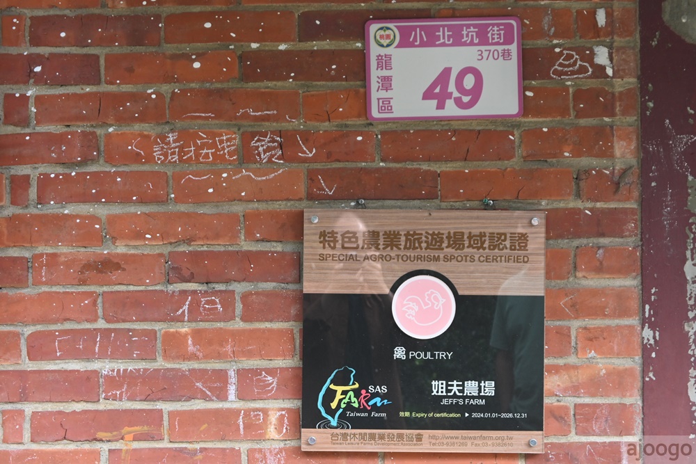 桃園景點 姐夫農場 小雞出租 桃園親子農場推薦 走進在地農家