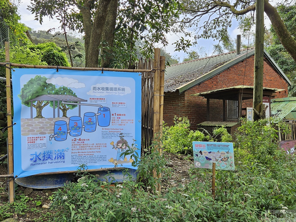 桃園景點 姐夫農場 小雞出租 桃園親子農場推薦 走進在地農家