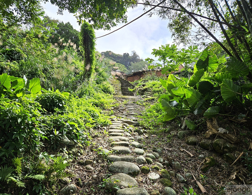 桃園景點 姐夫農場 小雞出租 桃園親子農場推薦 走進在地農家 桃園景點 姐夫農場 小雞出租 桃園親子農場推薦 走進在地農家