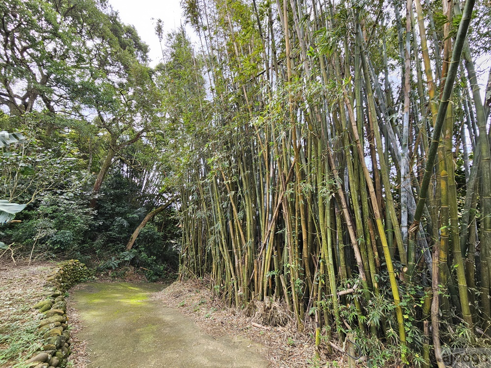 桃園景點 姐夫農場 小雞出租 桃園親子農場推薦 走進在地農家