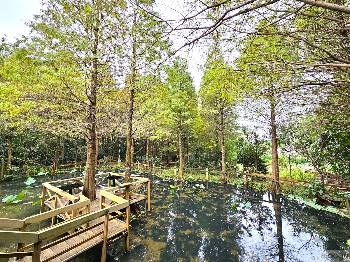 即時熱門文章：2026桃園景點 小木屋休閒農場-竹圃茶園 林口旁的秘境茶園農莊 茶樹精油DIY與特色套餐