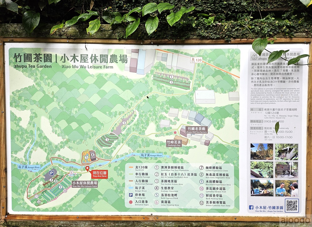 2026桃園景點 小木屋休閒農場-竹圃茶園 林口旁的秘境茶園農莊 茶樹精油DIY與特色套餐