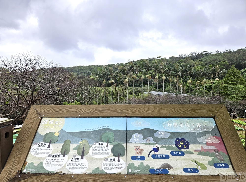 2026桃園景點 小木屋休閒農場-竹圃茶園 林口旁的秘境茶園農莊 茶樹精油DIY與特色套餐 2026桃園景點 小木屋休閒農場-竹圃茶園 林口旁的秘境茶園農莊 茶樹精油DIY與特色套餐