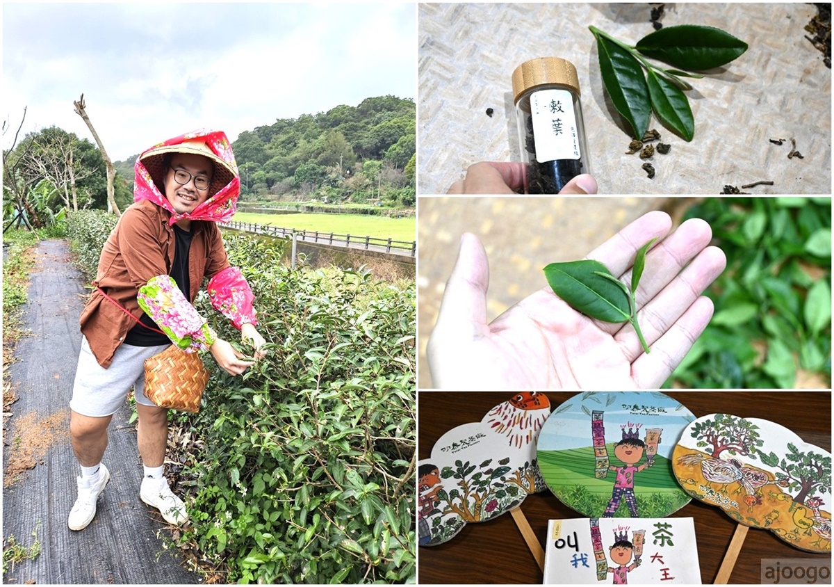 2026桃園景點 羽泰製茶廠 百年茶園有趣的採茶製茶DIY體驗 桃園一日遊 @AJ的旅行地圖