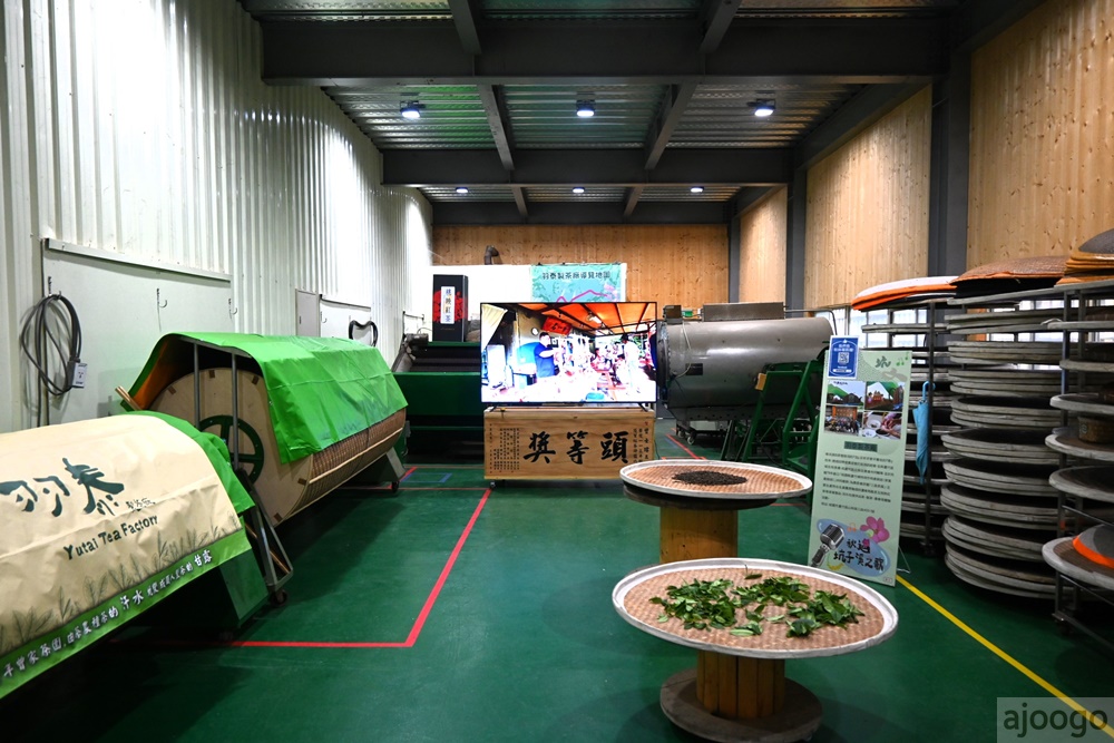 2026桃園景點 羽泰製茶廠 百年茶園有趣的採茶製茶DIY體驗 桃園一日遊