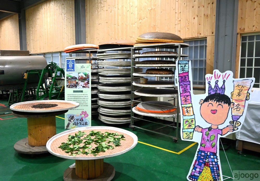 2026桃園景點 羽泰製茶廠 百年茶園有趣的採茶製茶DIY體驗 桃園一日遊 2026桃園景點 羽泰製茶廠 百年茶園有趣的採茶製茶DIY體驗 桃園一日遊