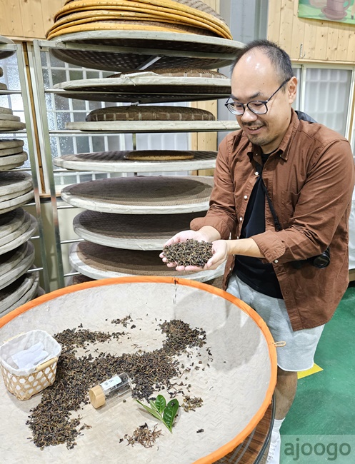 2026桃園景點 羽泰製茶廠 百年茶園有趣的採茶製茶DIY體驗 桃園一日遊 2026桃園景點 羽泰製茶廠 百年茶園有趣的採茶製茶DIY體驗 桃園一日遊