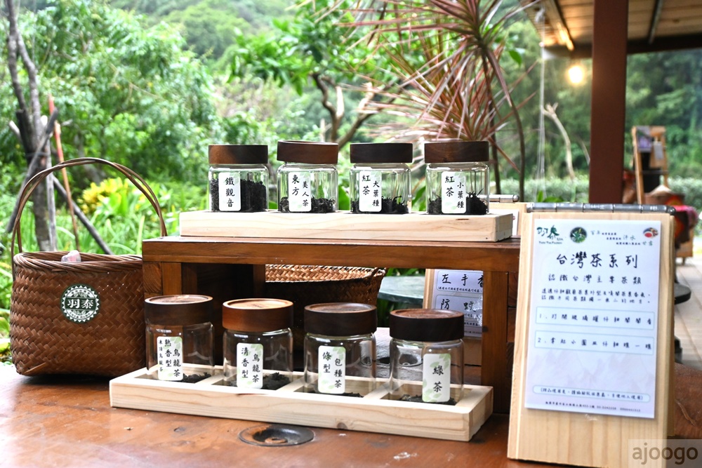 2026桃園景點 羽泰製茶廠 百年茶園有趣的採茶製茶DIY體驗 桃園一日遊
