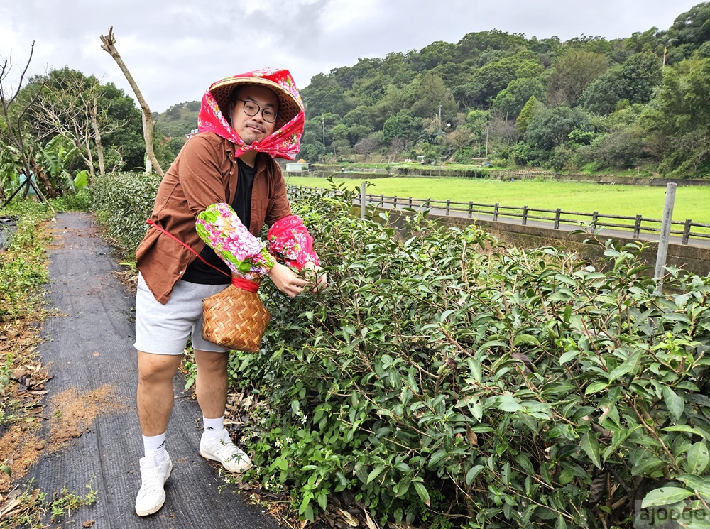 2026桃園景點 羽泰製茶廠 百年茶園有趣的採茶製茶DIY體驗 桃園一日遊 2026桃園景點 羽泰製茶廠 百年茶園有趣的採茶製茶DIY體驗 桃園一日遊