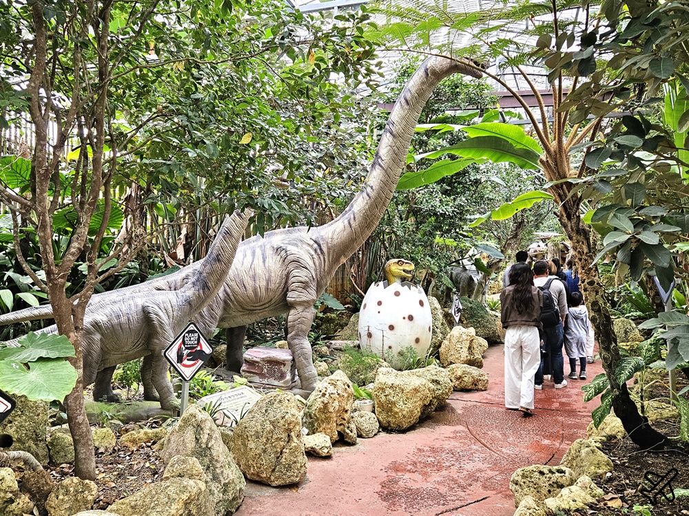 2026沖繩自由行 沖繩FunPass/Okinawa FunPASS DMM水族館、玉泉洞、鳳梨園、古宇利海洋塔