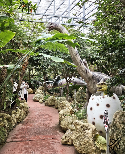 2026沖繩景點 名護鳳梨公園與恐龍園區 沖繩自由行 親子雨備景點 2026沖繩景點 名護鳳梨公園與恐龍園區 沖繩自由行 親子雨備景點