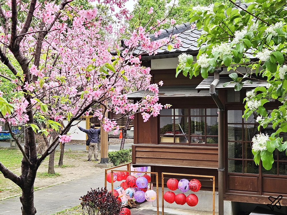 桃園美食 成真咖啡 桃園77藝文町 桃園不限時咖啡館