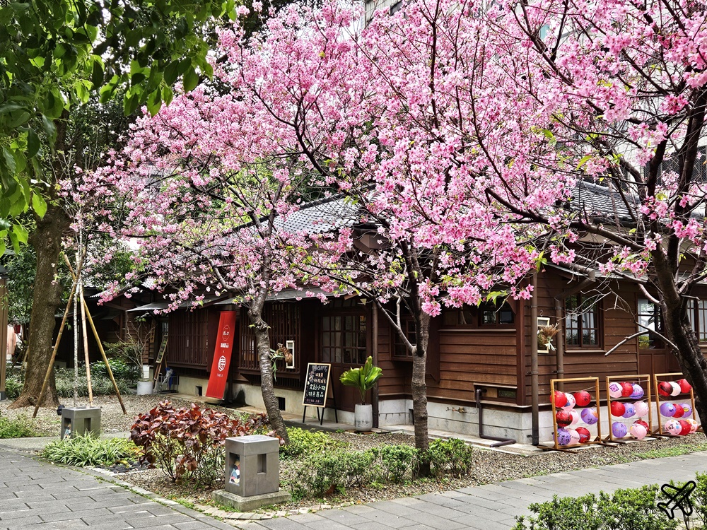 桃園美食 成真咖啡 桃園77藝文町 桃園不限時咖啡館