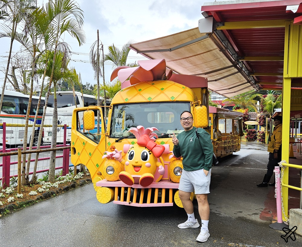 2026沖繩自由行 沖繩FunPass/Okinawa FunPASS DMM水族館、玉泉洞、鳳梨園、古宇利海洋塔 @AJ的旅行地圖