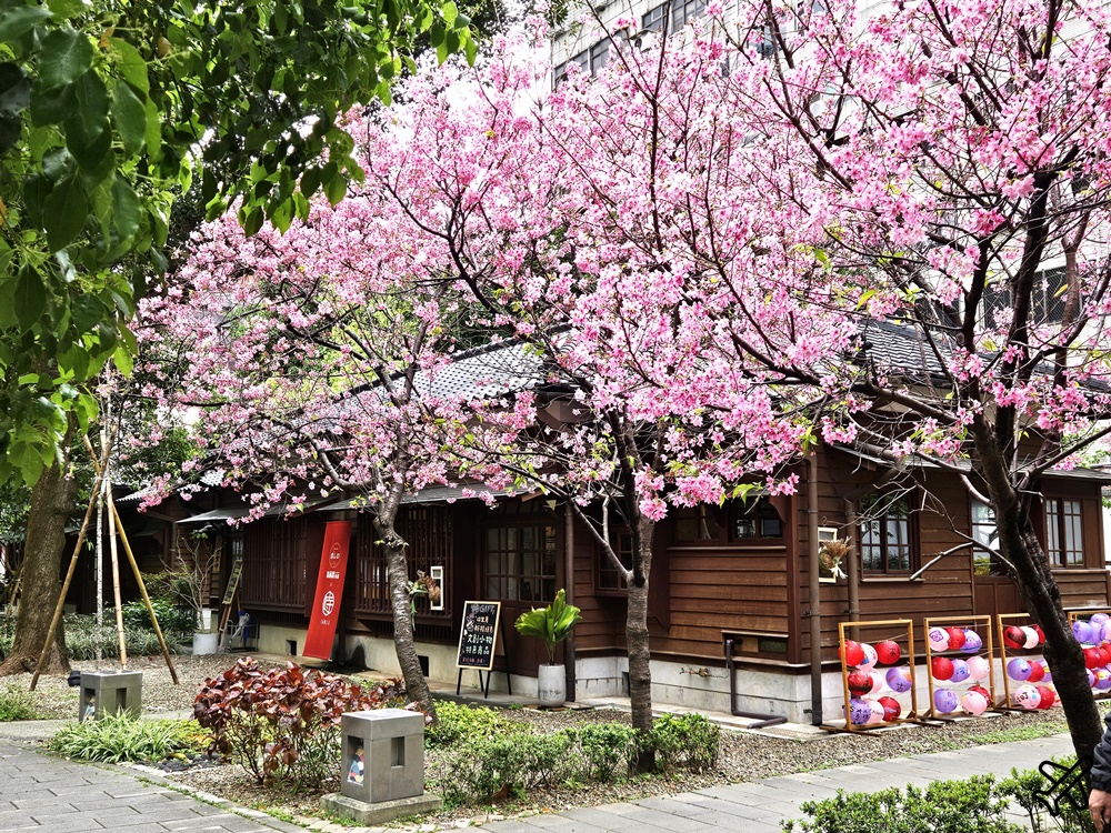 桃園美食 成真咖啡 桃園77藝文町 桃園不限時咖啡館