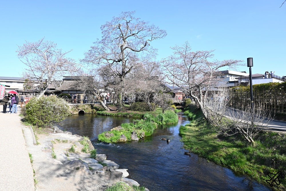 日本旅遊 忍野八海 富士山景點 忍野八海美食、忍野八海交通