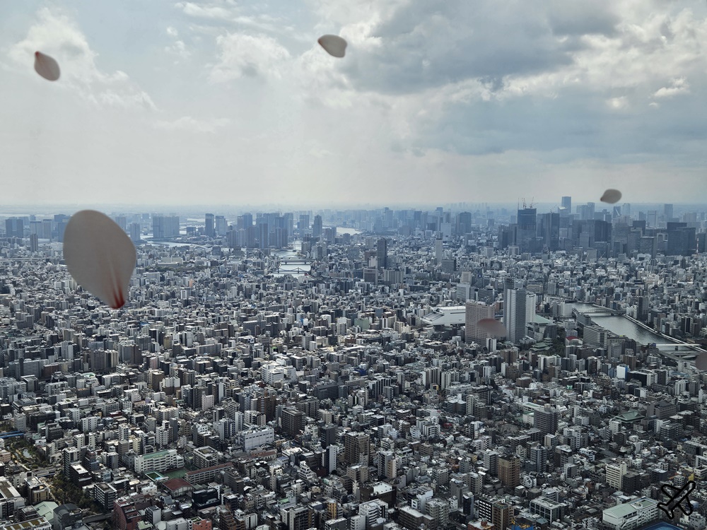 2026東京景點 東京晴空塔 世界第一高塔 天望甲板、天望回廊 東京自由行