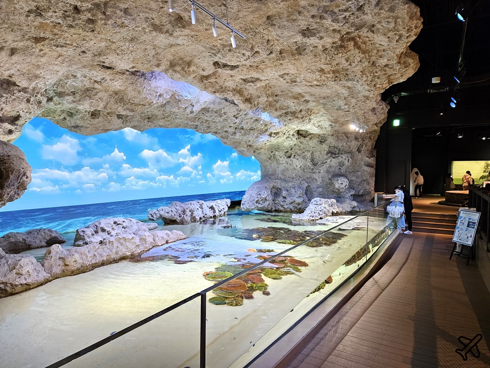 2026沖繩自由行 DMM Kariyushi水族館 購物+逛水族館一次完成 最新沖繩景點