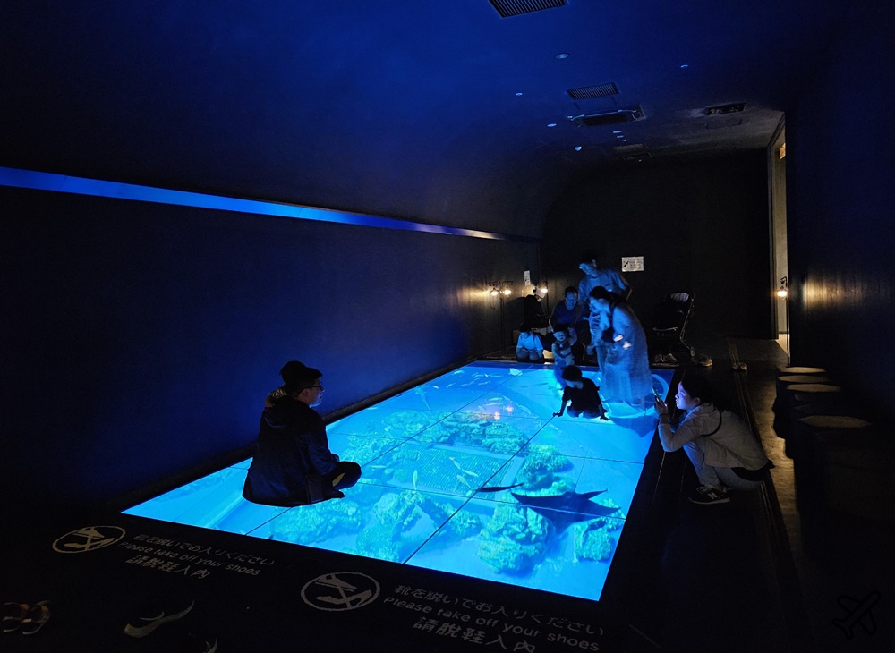 2026沖繩自由行 DMM Kariyushi水族館 購物+逛水族館一次完成 最新沖繩景點