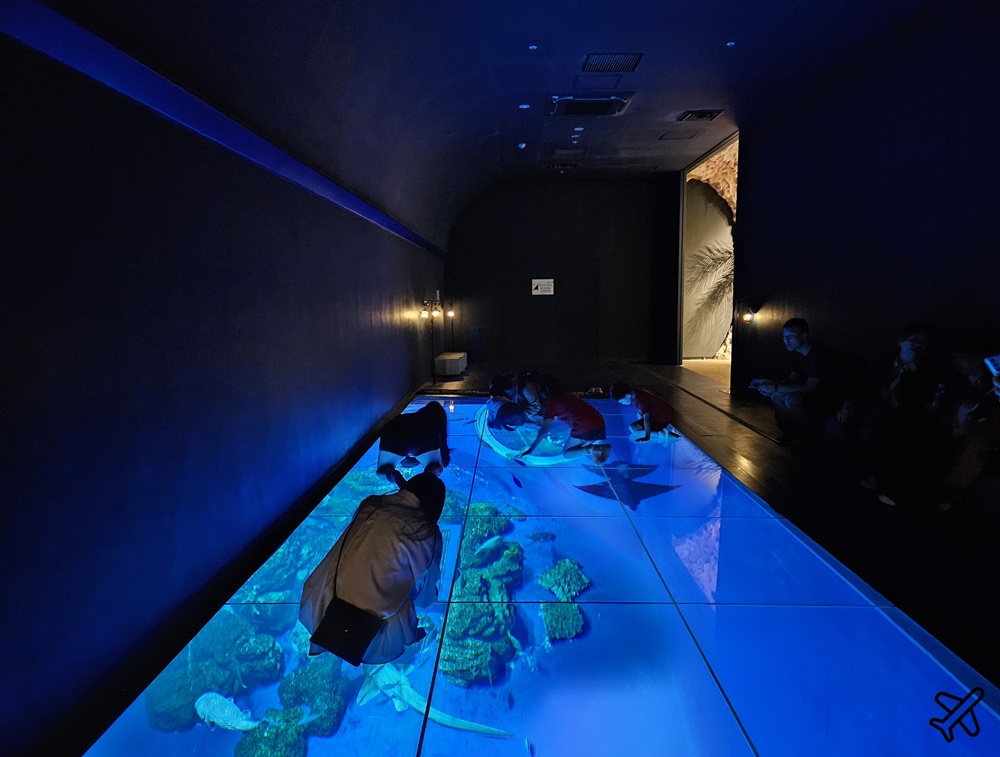 2026沖繩自由行 DMM Kariyushi水族館 購物+逛水族館一次完成 最新沖繩景點