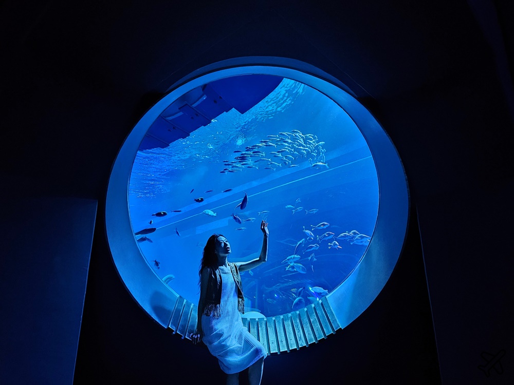 2026沖繩自由行 沖繩FunPass/Okinawa FunPASS DMM水族館、玉泉洞、鳳梨園、古宇利海洋塔
