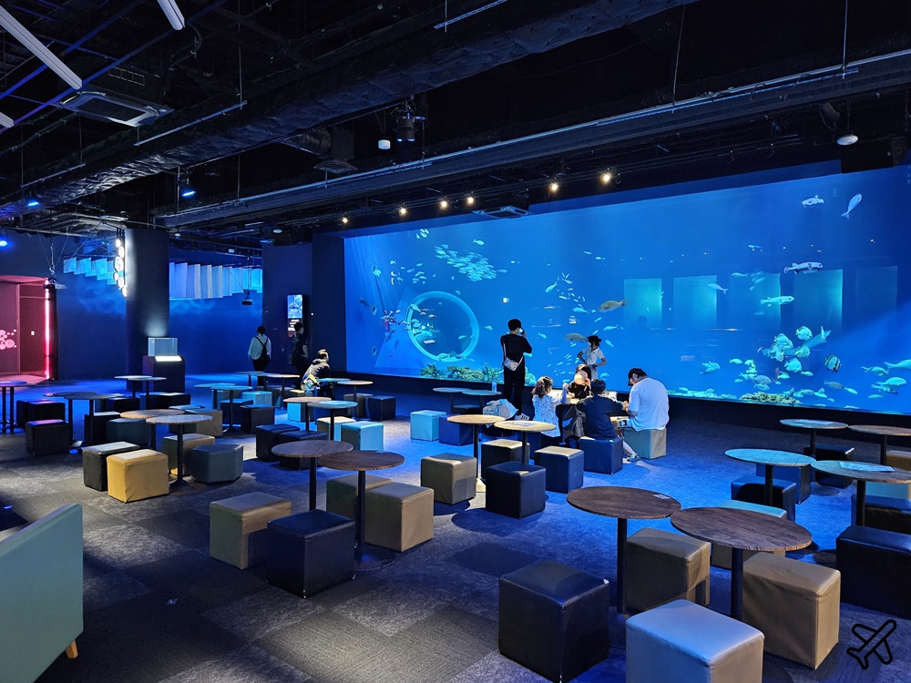 2026沖繩自由行 DMM Kariyushi水族館 購物+逛水族館一次完成 最新沖繩景點