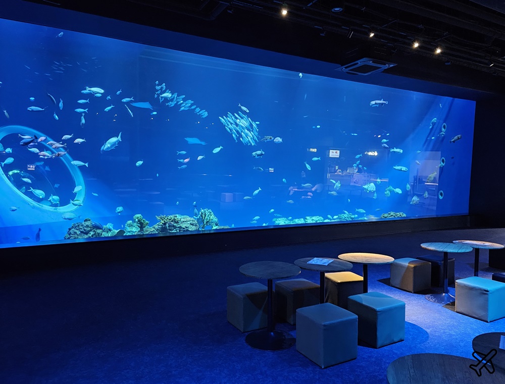 2026沖繩自由行 DMM Kariyushi水族館 購物+逛水族館一次完成 最新沖繩景點