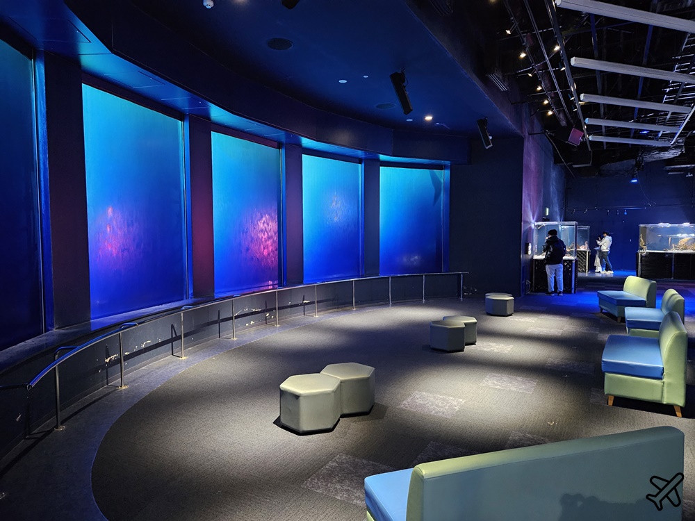 2026沖繩自由行 DMM Kariyushi水族館 購物+逛水族館一次完成 最新沖繩景點