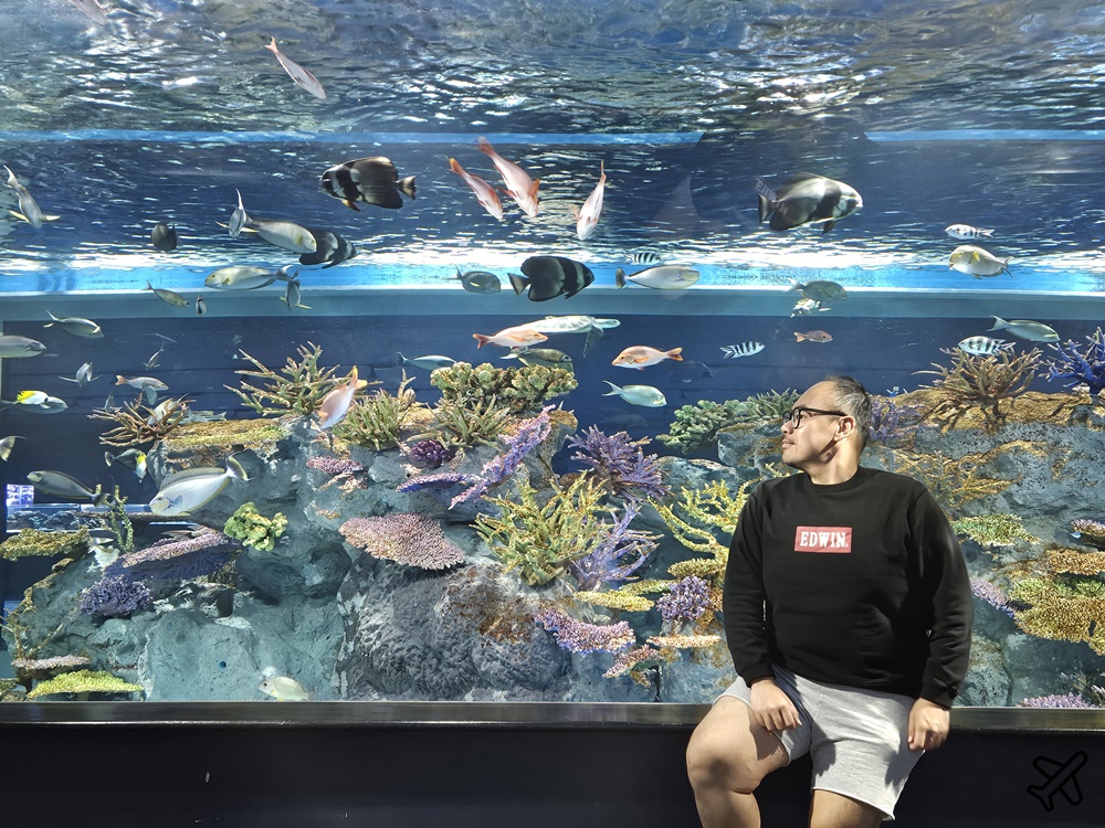 2026沖繩自由行 DMM Kariyushi水族館 購物+逛水族館一次完成 最新沖繩景點