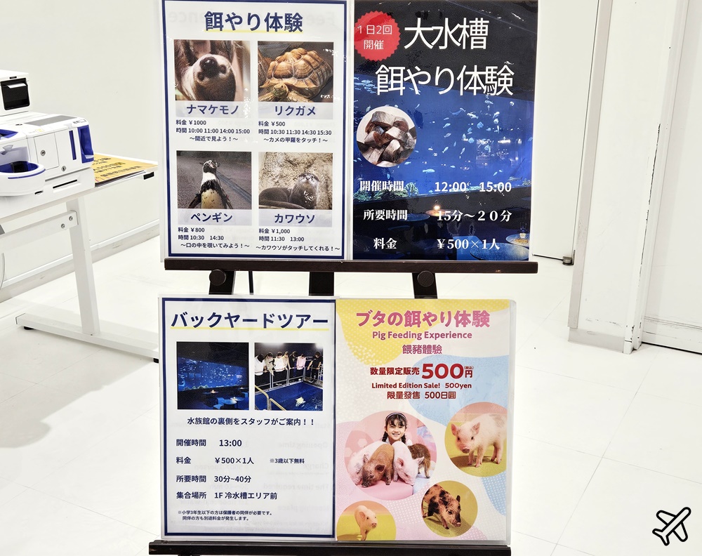 2026沖繩自由行 DMM Kariyushi水族館 購物+逛水族館一次完成 最新沖繩景點