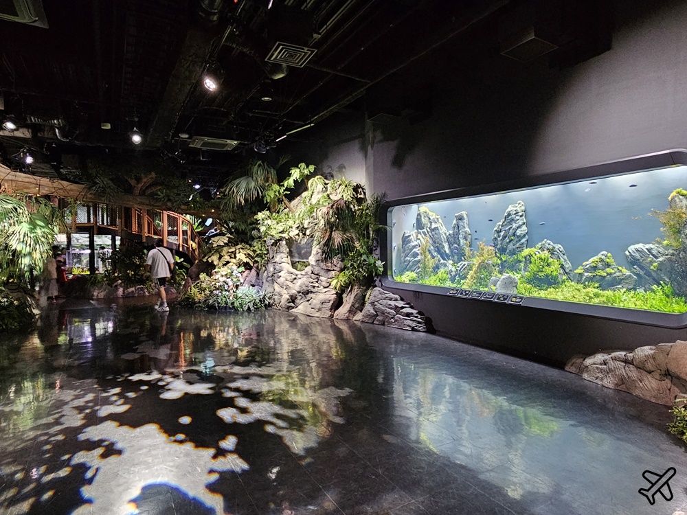 2026沖繩自由行 DMM Kariyushi水族館 購物+逛水族館一次完成 最新沖繩景點