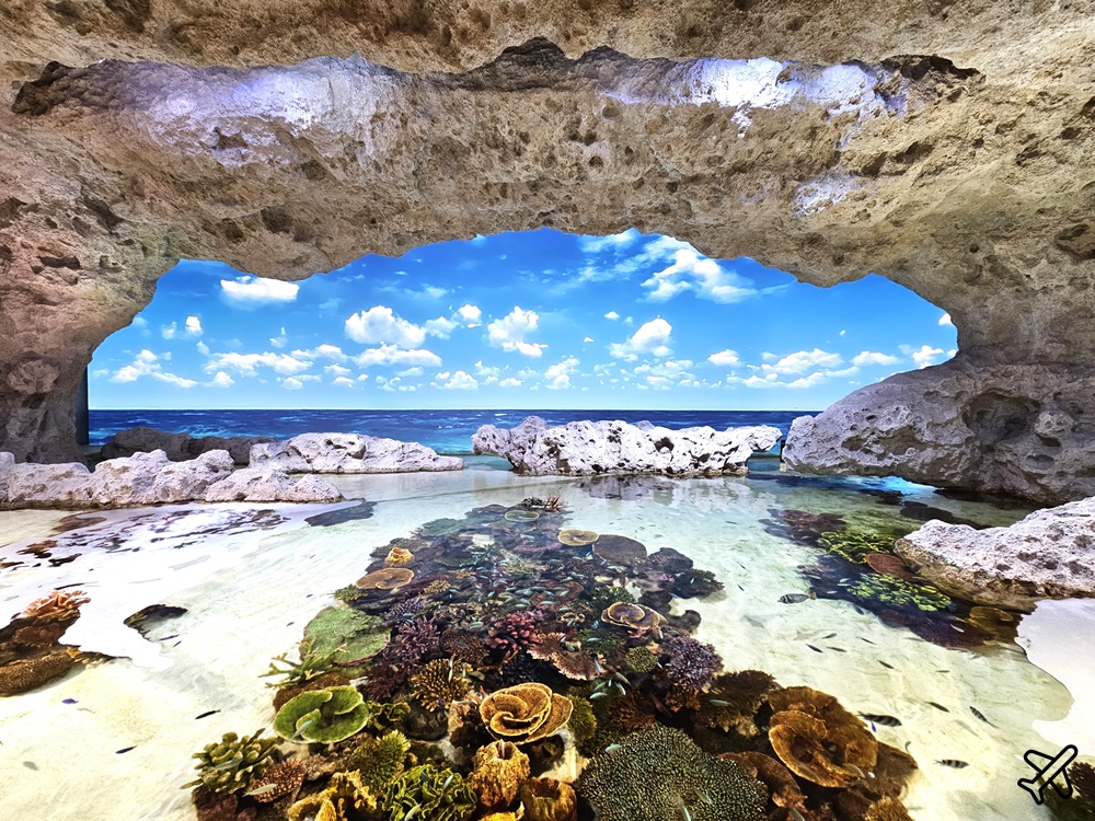 2026沖繩自由行 DMM Kariyushi水族館 購物+逛水族館一次完成 最新沖繩景點 @AJ的旅行地圖