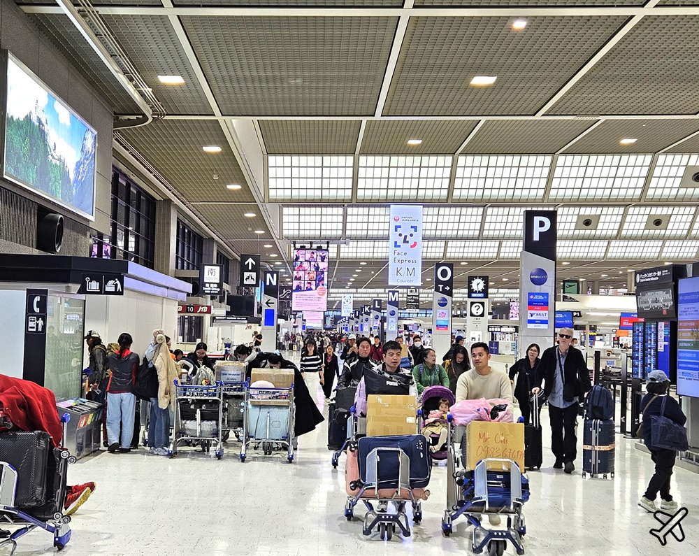 星宇航空評價 東京成田NRT-台北桃園TPE 星宇航空A350經濟艙飛機餐 開箱JX803