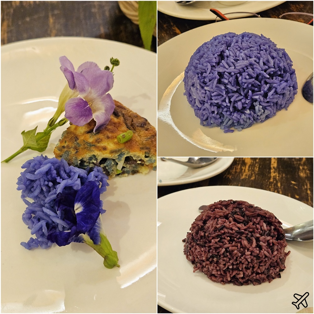 2026泰國旅遊 巴真武里美食 Home story Prachin Buri 花草食療餐廳 泰國四大草藥城