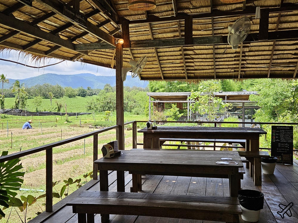 泰國考艾美食 考艾有機農場餐廳 田園咖啡廳 Tawe farm Khaoyai & Cafe 泰國旅遊推薦