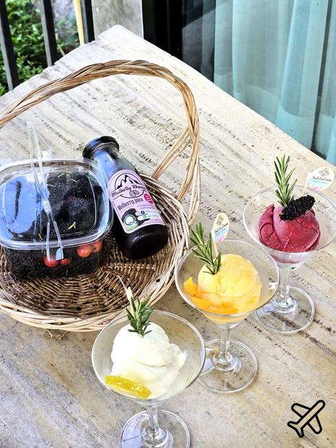 泰國考艾景點 桑椹考艾 有機桑椹農場 自採新鮮桑椹 Mulberry Khaoyai 泰國旅遊推薦