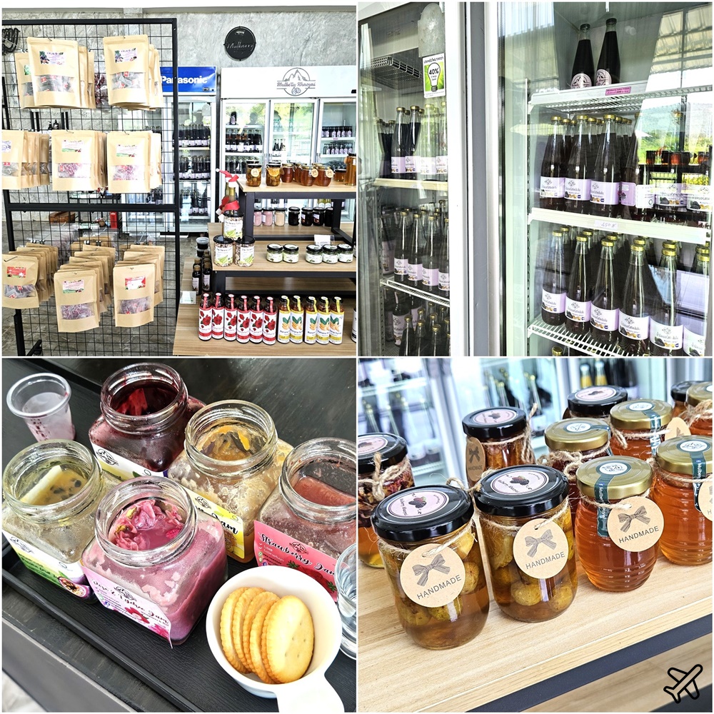 泰國考艾景點 桑椹考艾 有機桑椹農場 自採新鮮桑椹 Mulberry Khaoyai 泰國旅遊推薦